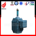 YCCL Series 3KW 960RPM Induction Motor Of Cooling Tower Electric Ac Motor